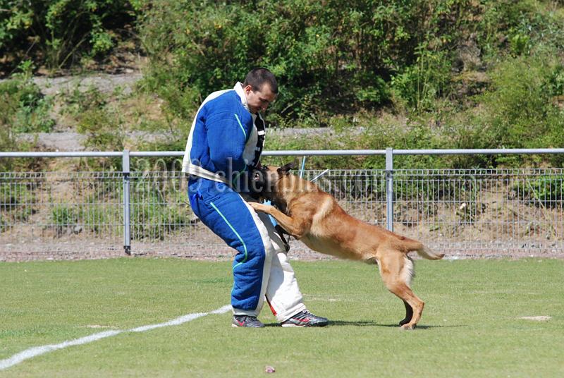 3 EME SELECTIF 2009 GRANDE SYNTHE 109.jpg